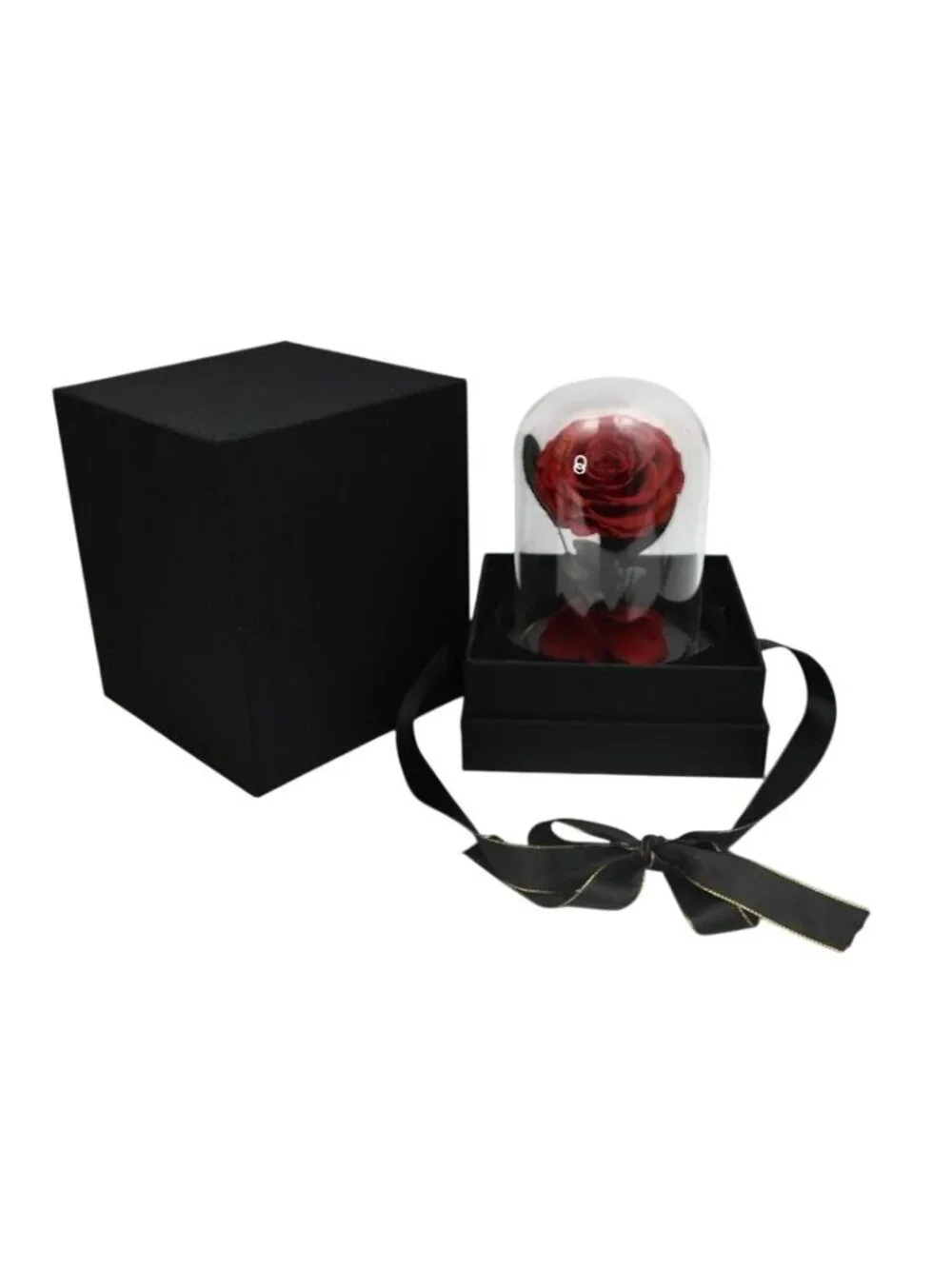 Preserved Red Rose Glass Cloche Dome Beauty Beast Eternal Flower Romantic Box